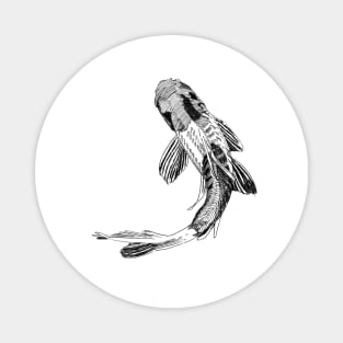 Koi Fish Ink Drawing Magnet